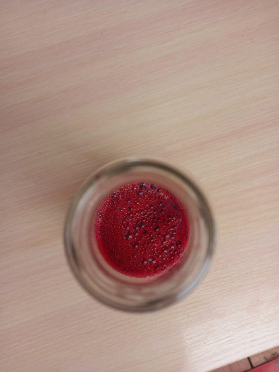 IMG-20210630-WA0035