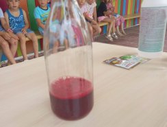 IMG-20210630-WA0042